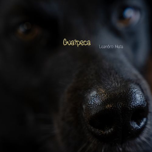 Capa de Guaipeca